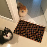 ENTRANCE Mat / Floor Care