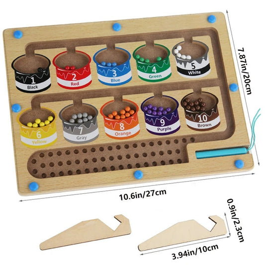 Magnetic Color Classification Maze