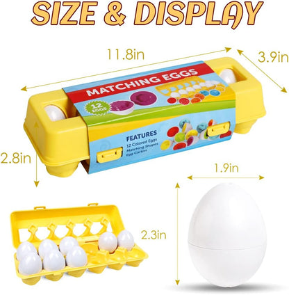 Kids Educational Matching Eggs Tray (12 Pcs)