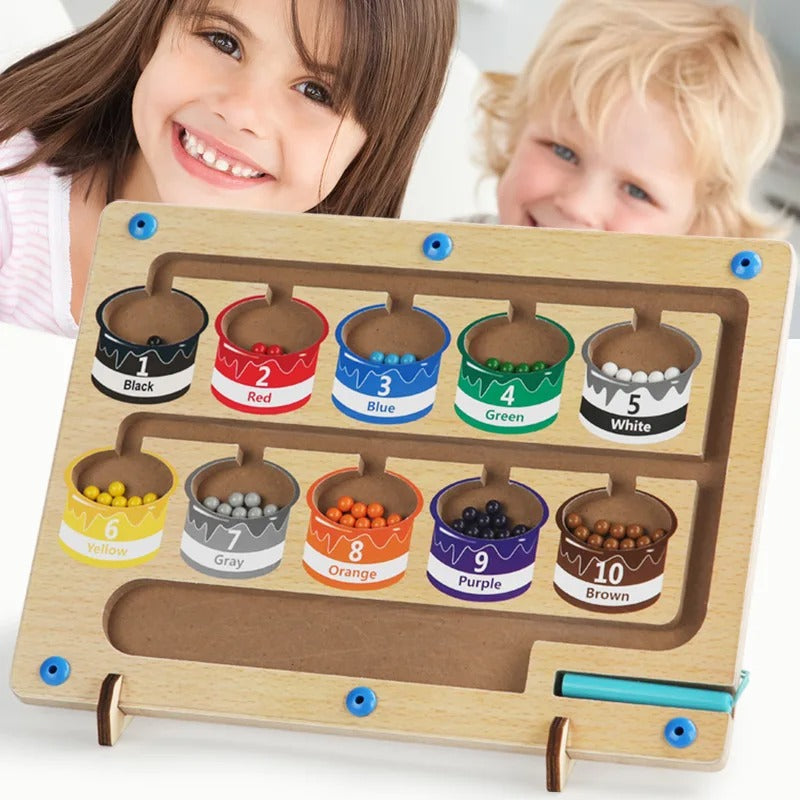 Magnetic Color Classification Maze