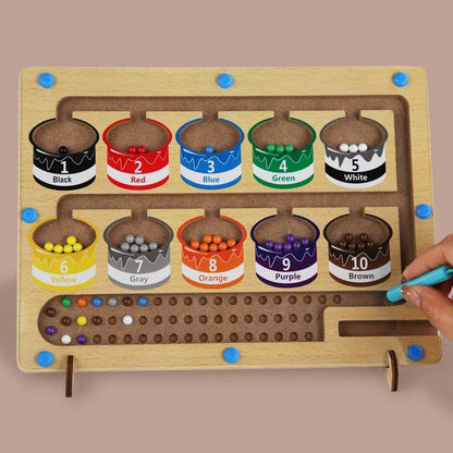 Magnetic Color Classification Maze