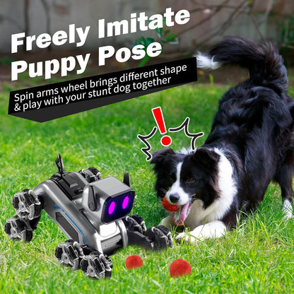 RC Robot Dog
