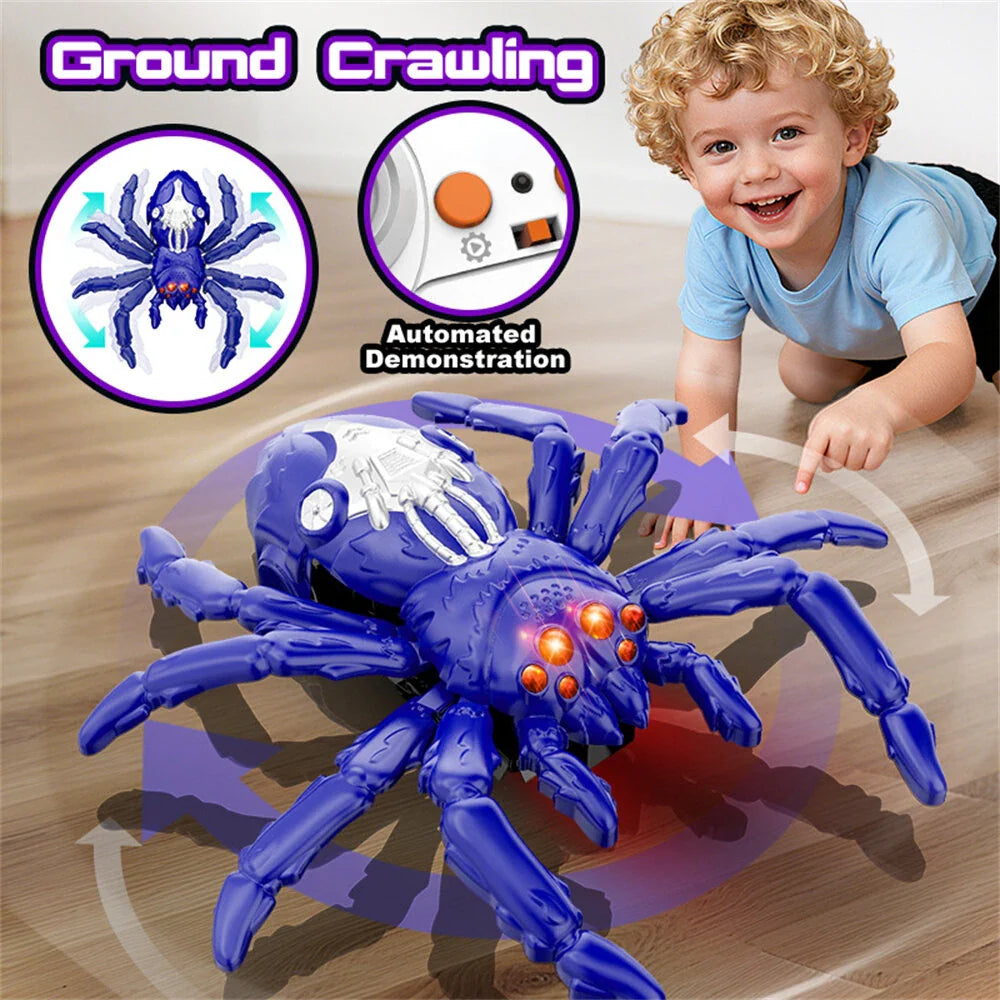 Interactive RC Spider Toy